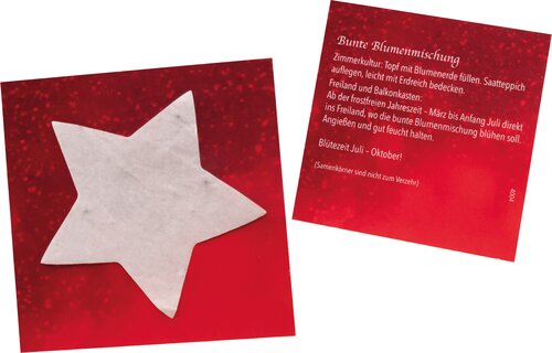 Samenpapier-Kärtchen Stern