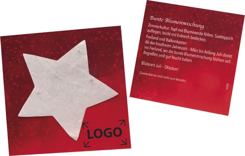 Samenpapier-Kärtchen Stern