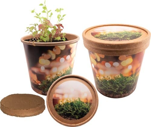 Weihnachtliche Kräutergrüße