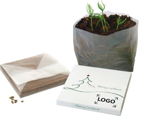 Wachstum im Quadrat Weihnachtsbaum