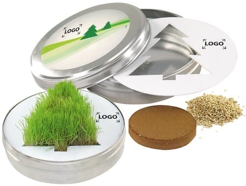 Wachsender Tannenbaum