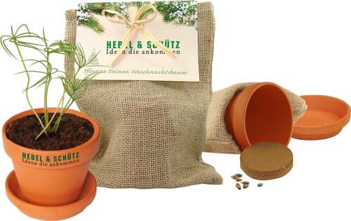 Natur - Säckchen Pflanze deinen Baum