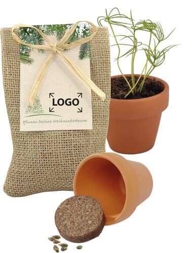 Kleines Natur - Säckchen Pflanze deinen Baum