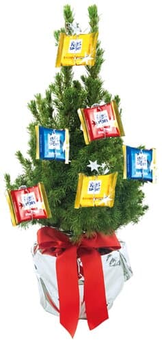 Sport-Bäumchen 35-45 cm