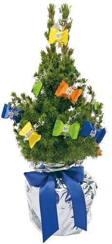 Süßes Schoko-Bäumchen 35-45 cm