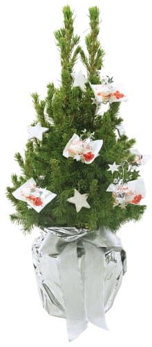 Kristall-Bäumchen 35-45 cm