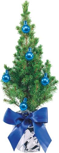 Festliches Bäumchen blau 20-30 cm