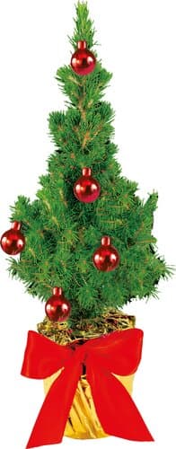 Festliches Bäumchen rot  20-30 cm