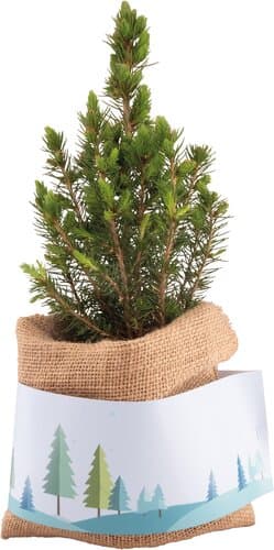 Weihnachtsgruß-Bäumchen