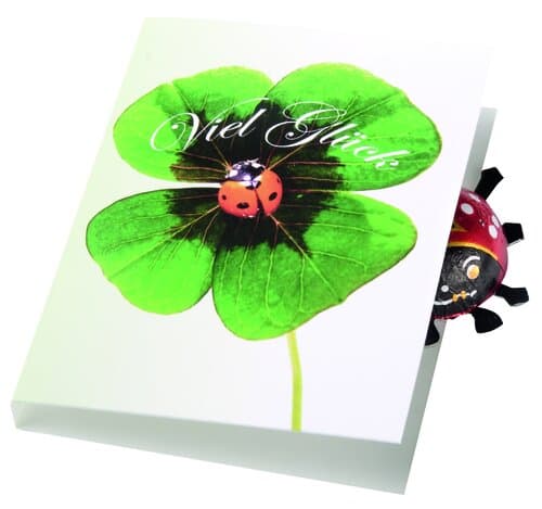 Klappkärtchen Glückskäfer