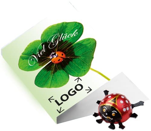 Klappkärtchen Glückskäfer