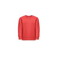 THC DELTA KIDS Kindersweatshirt aus recycelter Baumwolle und Polyester