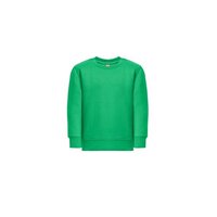 THC DELTA KIDS Kindersweatshirt aus recycelter Baumwolle und Polyester