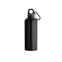 RELANDSCAPE M Flasche aus recyceltem Aluminium 530 mL mit Karabiner