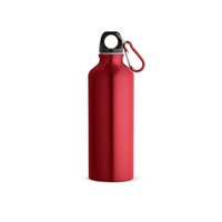RELANDSCAPE M Flasche aus recyceltem Aluminium 530 mL mit Karabiner