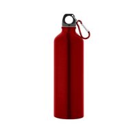 LANDSCAPE L AluminiumSportflasche mit Karabiner 800 ml