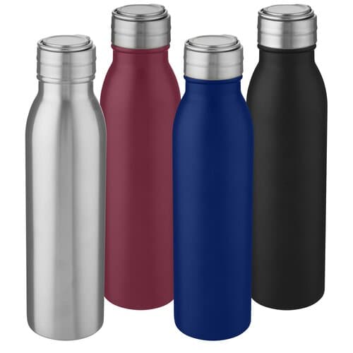 Harper 700 ml Sportflasche aus Edelstahl mit Metallschlaufe
