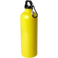 Oregon 750 ml RCSzertifizierte einwandige Trinkflasche aus Edelstahl mit Karabinerhaken