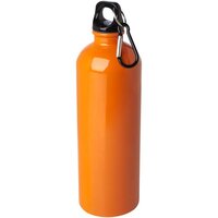 Oregon 750 ml RCSzertifizierte einwandige Trinkflasche aus Edelstahl mit Karabinerhaken