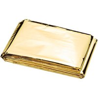 silber  /  gold