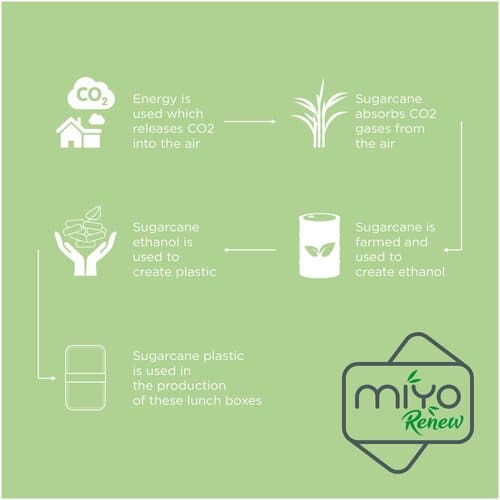 MIYO Renew 700+700 ml Doppel-Lunchbox