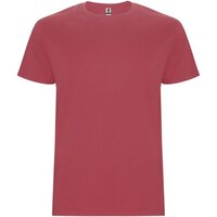 chrysanthemum red