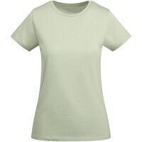 mist green