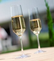 Harmony Sekt 2erSet