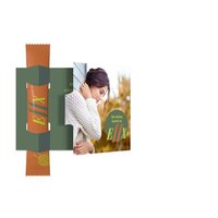 TeaFlyer ClapCard inkl 1 Bio TeaStick Individual