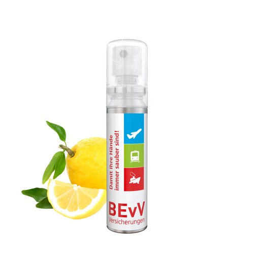 20 ml Pocket Spray - Handreinigungsspray (alk.)