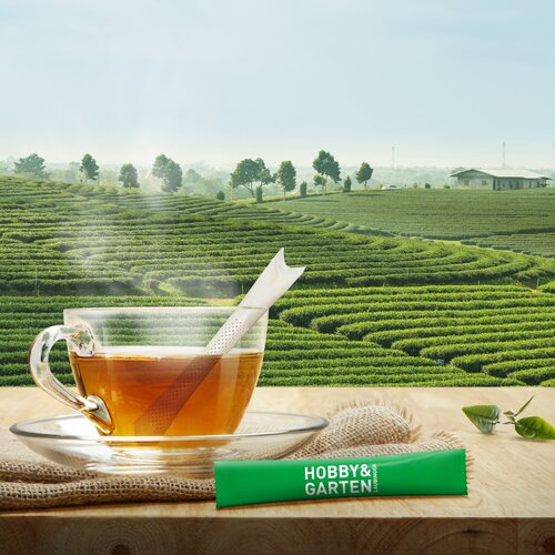 Tea-V-Card Visitenkarte inkl. 1 Bio TeaStick "Individual"