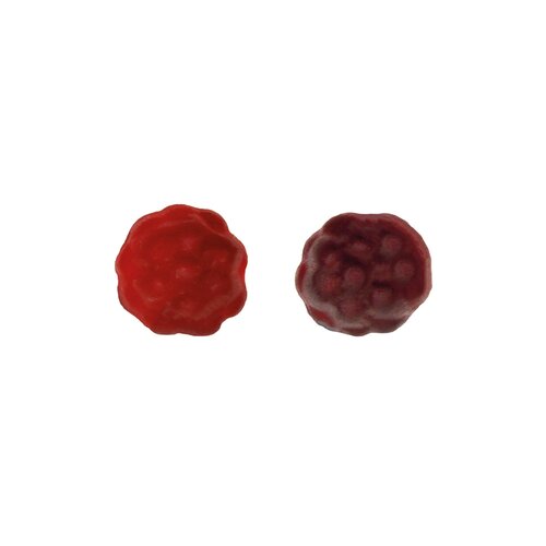 BIO Beerenfrüchtchen vegan Werbetüte