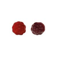 BIO Beerenfrüchtchen vegan Werbetüte