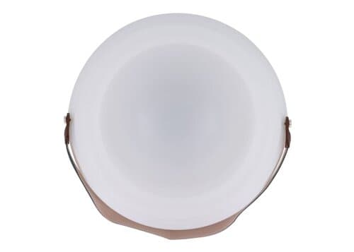 1616 | CoolLux Stimmungslicht und kabelloser Lautsprecher