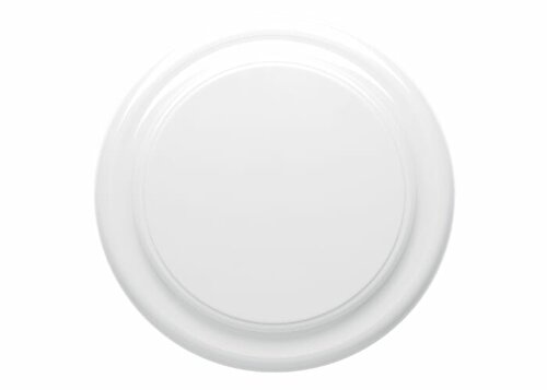 Frisbee