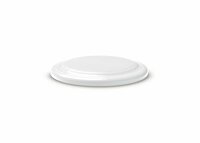 Frisbee