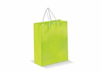 Laminierte Papiertasche, mittel