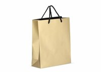 Papier Geschenktasche 24 x 10 x 30cm 200g/m²