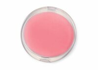 pastellrosa