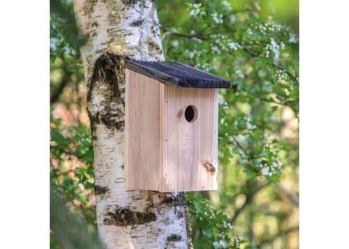 Nistkasten rustikal
