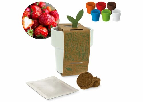 Hot-but-cool Tasse mit Erdbeersamen