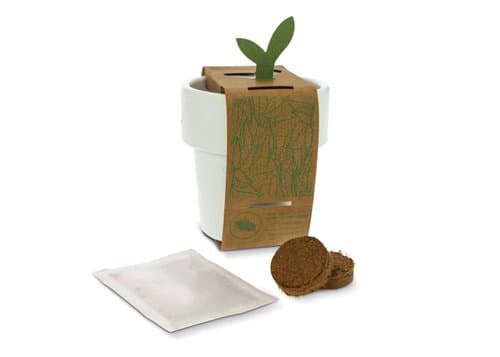 Hot-but-cool Tasse mit Basilikum