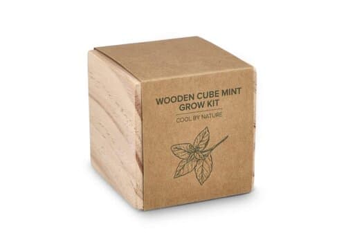 FSC-Holzpflanzgefäß-Set – Mint