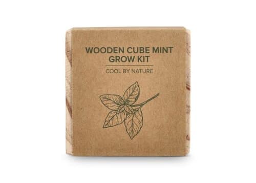 FSC-Holzpflanzgefäß-Set – Mint
