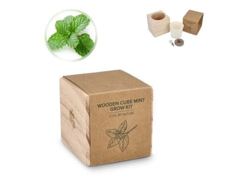 FSC-Holzpflanzgefäß-Set – Mint