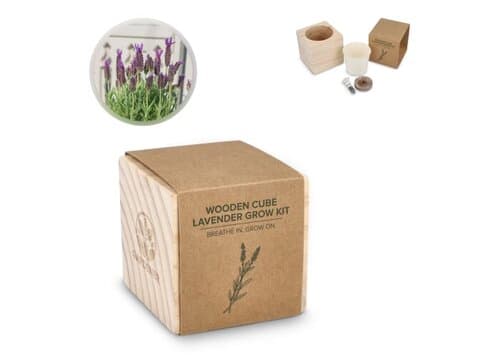 FSC-Holzpflanzgefäß-Set – Lavendel