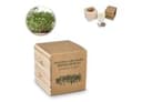 FSC-Holzpflanzgefäß-Set – Microgreens