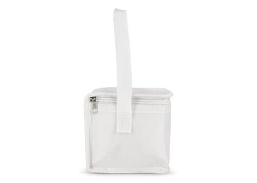 R-PET 6 Dosen-Kühltasche Non Woven 20x 13 x 12,5cm 75g/m²