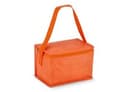 R-PET 6 Dosen-Kühltasche Non Woven 20x 13 x 12,5cm 75g/m²