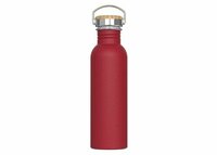 Wasserflasche Ashton 750ml